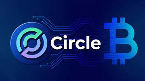 Circle crypto wallet guide