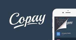 Secure Copay Crypto Wallet
