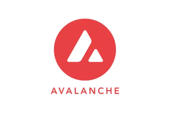 Buy Avalanche Gear