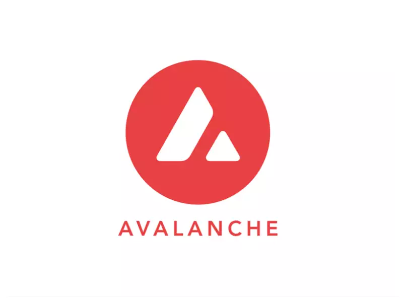 Buy Avalanche Gear