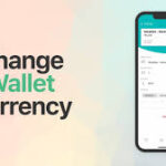 Change Wallet Guide
